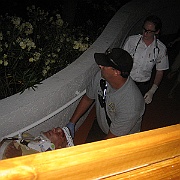 Picture 011